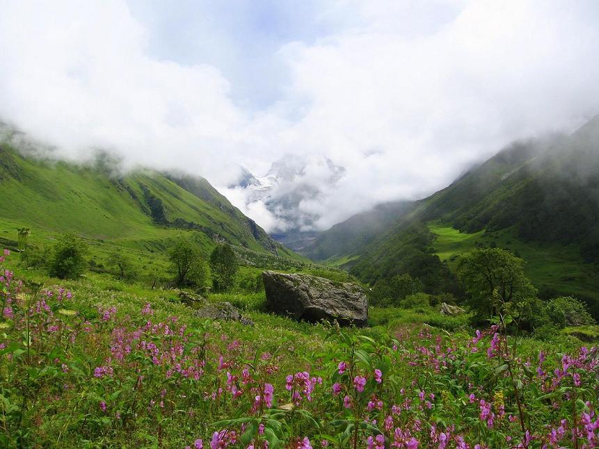 Valley of Flowers in Uttarakhand