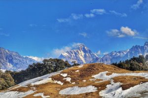 Gorson Bugyal in Auli