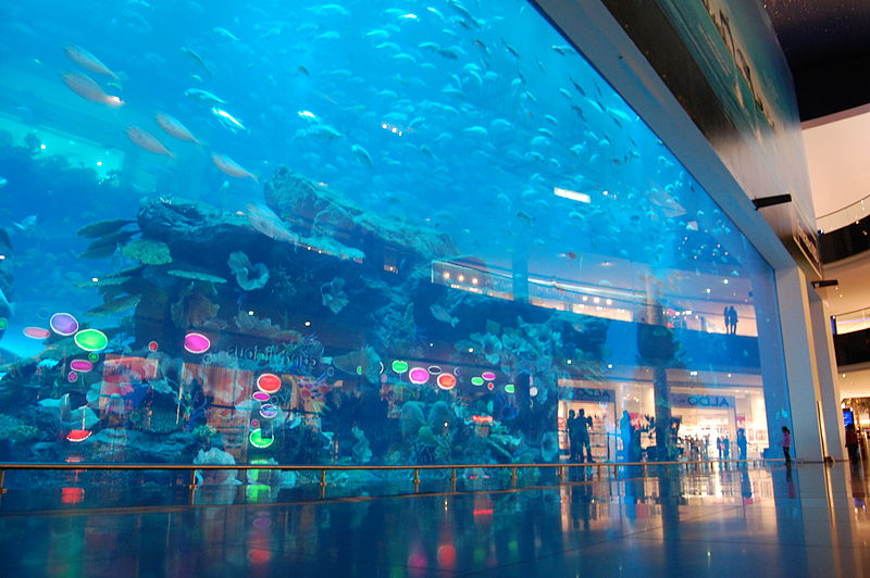 aquarium-underwater-zoo