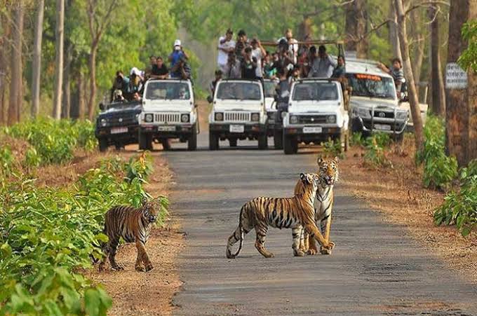 Ranthambore National Park