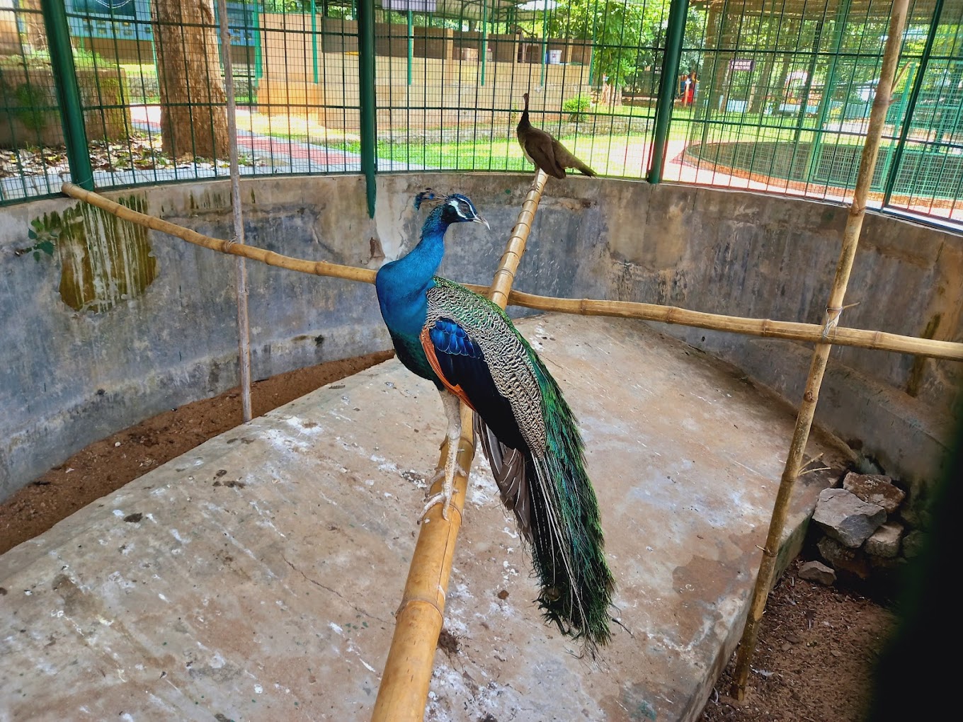 Thattekad Bird Sanctuary, Kerala