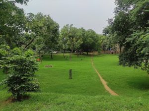 Mehrauli Archaeological Park