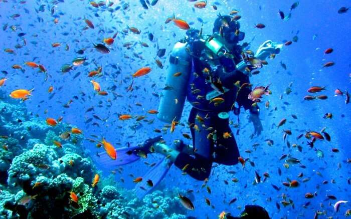 Diving in andaman