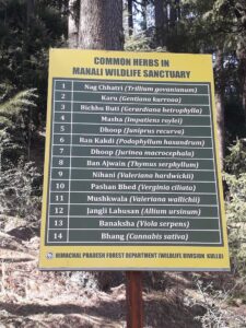 Lama Dugh Trek, Manali