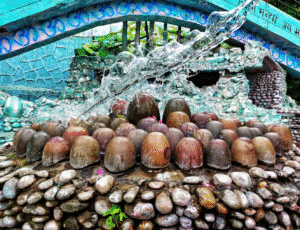 Gufa Wala Mandir in Preet Vihar Delhi