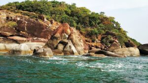 Butterfly Island Goa