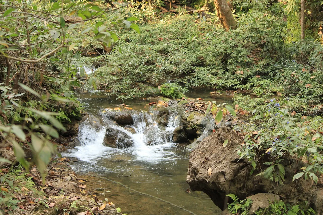 Corbett Falls