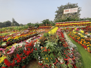 Ekamra Kanan Botanical Gardens Bhubaneswar