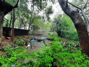 Ancestral Museum Goa