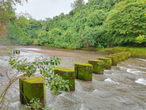 Arvalem Waterfall Goa, India