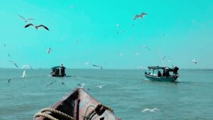 Boat Rides and Island Hopping