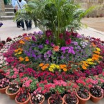 Humayun's Tomb Delhi