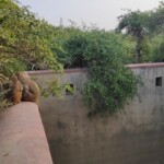 Nidhivan Temple in Vrindavan