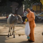 Vrinda Kunja Ashram Vrindavan