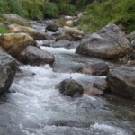 Kainchi Dham Nainital