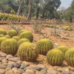NTR Gardens Hyderabad