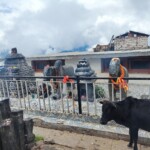 Bijli Mahadev Temple