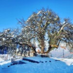 Bijli Mahadev Temple
