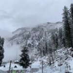 Great Himalayan National Park, Manali