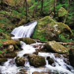Great Himalayan National Park, Manali