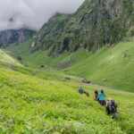 Hampta Pass Manali