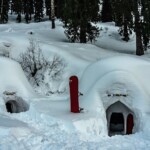 Igloo Village Sethan Manali