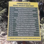 Lama Dugh Trek, Manali