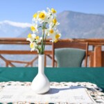 Naggar Castle Manali