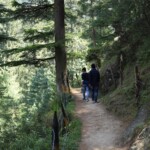 Sajla Waterfall Manali