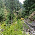 Sajla Waterfall Manali