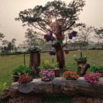 Ekamra Kanan Botanical Gardens Bhubaneswar