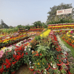 Ekamra Kanan Botanical Gardens Bhubaneswar