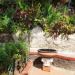 Ancestral Museum Goa