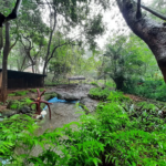 Ancestral Museum Goa