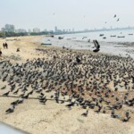 Marine Drive Mumbai