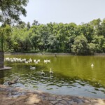 Lodhi Garden